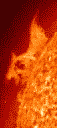 solar flare activity